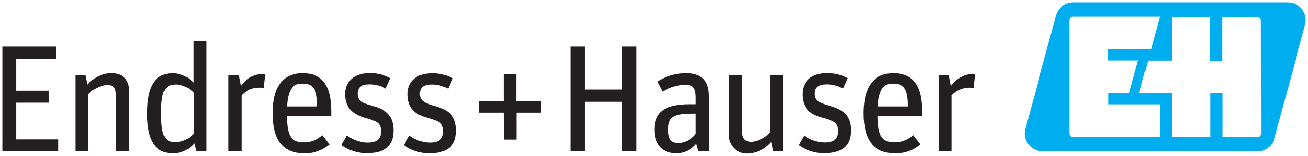 Endress+Hauser_logo.svg