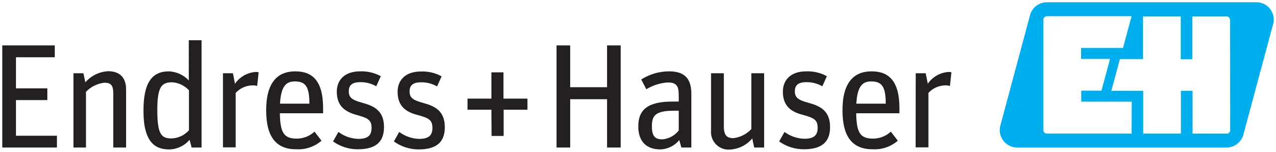 Endress+Hauser_logo.svg